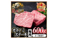 ＜毎月定期便＞飛騨牛 カイノミステーキ定期便 毎月600g＜冷蔵便＞A4～A5厳選希少部位 全12回【4055998】