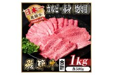 レビューキャンペーン実施中!飛騨牛　厳選カルビ・赤身(焼肉・BBQ用)1kg　A4～A5　小分け_ 肉 飛騨牛 焼き肉 カルビ 赤身 焼肉 やきにく 焼肉用 牛肉 牛 ニク にく お肉 BBQ バーベキュー アウトドア キャンプ ギフト プレゼント 岐阜県 1kg 冷凍 送料無料 【1543764】