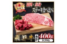 レビューキャンペーン実施中!飛騨牛 霜降り・赤身ステーキ食べ比べ　計400g【1544864】