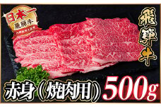 レビューキャンペーン実施中!飛騨牛　厳選赤身(焼肉・BBQ用)500g　A4～A5等級＜冷凍便＞【1543752】