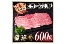 レビューキャンペーン実施中!飛騨牛　厳選赤身(焼肉・BBQ用)600g　A4～A5等級　小分け【1543753】