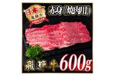 レビューキャンペーン実施中!飛騨牛　厳選赤身(焼肉・BBQ用)600g　A4～A5等級　小分け【1543753】