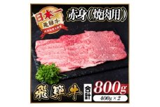 レビューキャンペーン実施中!飛騨牛　厳選赤身(焼肉・BBQ用)800g　A4～A5等級　小分け【1543756】