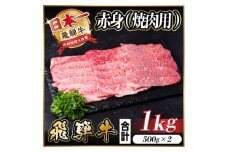 レビューキャンペーン実施中!飛騨牛　厳選赤身(焼肉・BBQ用)1kg　A4～A5等級　小分け【1543758】