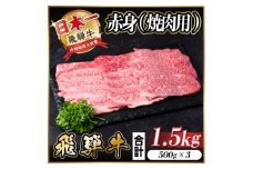 レビューキャンペーン実施中!飛騨牛　厳選赤身(焼肉・BBQ用)1.5kg　A4～A5等級　小分け【1543759】