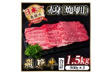 レビューキャンペーン実施中!飛騨牛　厳選赤身(焼肉・BBQ用)1.5kg　A4～A5等級　小分け【1543759】