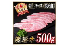 レビューキャンペーン実施中!飛騨牛　特上ロース(焼肉・BBQ用)500g　A5等級　黒毛和牛 　【1543790】