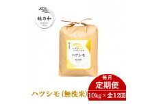 ＜毎月定期便＞岐阜県産ハツシモ(無洗米)10kg全12回【4056082】