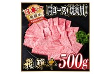 レビューキャンペーン実施中!飛騨牛　厳選肩ロース(焼肉・BBQ用)500g　A4～A5等級＜冷凍便＞【1543801】