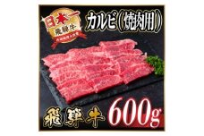レビューキャンペーン実施中!飛騨牛　厳選カルビ(焼肉・BBQ用)600g　A4～A5等級　小分け【1543783】