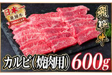 レビューキャンペーン実施中!飛騨牛　厳選カルビ(焼肉・BBQ用)600g　A4～A5等級　小分け【1543783】