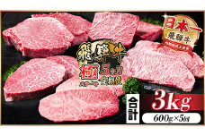 ＜毎月定期便＞飛騨牛 極ステーキ定期便　計約3kg＜冷蔵便＞全5回【4056916】