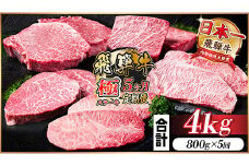 ＜毎月定期便＞飛騨牛 極ステーキ定期便　計約4kg＜冷蔵便＞全5回【4056917】