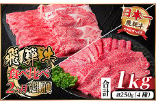 レビューキャンペーン実施中!飛騨牛霜降り・赤身食べ比べセット　2ヶ月定期便　計1kg　A4～A5【4057098】