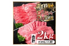 レビューキャンペーン実施中!飛騨牛霜降り・赤身食べ比べセット　2ヶ月定期便　計2kg　A4～A5【4057105】