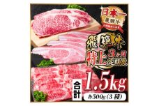 レビューキャンペーン実施中!＜毎月定期便＞飛騨牛 特上定期便 計1.5kg全3回　小分け【4057130】