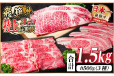 レビューキャンペーン実施中!＜毎月定期便＞飛騨牛 特上定期便 計1.5kg全3回　小分け【4057130】