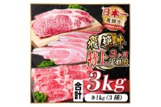 レビューキャンペーン実施中!＜毎月定期便＞飛騨牛 特上定期便 計3kg全3回　小分け【4057132】