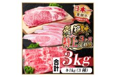 レビューキャンペーン実施中!＜毎月定期便＞飛騨牛 特上定期便 計3kg全3回　小分け【4057132】