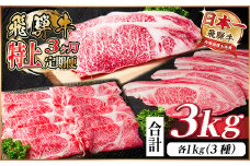 レビューキャンペーン実施中!＜毎月定期便＞飛騨牛 特上定期便 計3kg全3回　小分け【4057132】