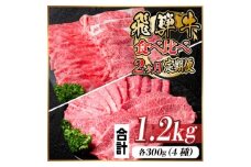 レビューキャンペーン実施中!飛騨牛霜降り・赤身食べ比べセット　2ヶ月定期便　計1.2kg　A4～A5【4057709】