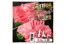 レビューキャンペーン実施中!飛騨牛霜降り・赤身食べ比べセット　2ヶ月定期便　計4kg　A4～A5【4058459】