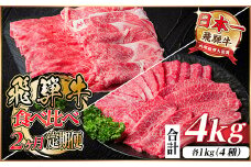 レビューキャンペーン実施中!飛騨牛霜降り・赤身食べ比べセット　2ヶ月定期便　計4kg　A4～A5【4058459】