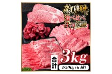 レビューキャンペーン実施中!飛騨牛霜降り・赤身食べ比べセット　3ヶ月定期便　計3kg　A4～A5【4059526】