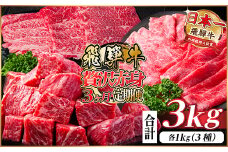 レビューキャンペーン実施中!＜毎月定期便＞飛騨牛 贅沢赤身肉定期便 計3kg全3回【4059530】