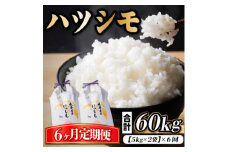 ＜毎月定期便＞岐阜県産ハツシモ　10kg(精米5kg×2袋)全6回【4059532】