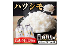 ＜2ヵ月毎定期便＞岐阜県産ハツシモ　10kg(精米5kg×2袋)全6回【4059936】