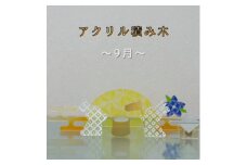 季節のアクリル積み木　収納ケース付～9月～【1570308】