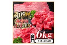 レビューキャンペーン実施中!＜毎月定期便＞飛騨牛 赤身肉定期便 計6kg全3回【4060299】
