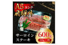 飛騨牛5等級 サーロインステーキ600g(200g×3枚)　FTA166【1576994】