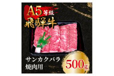飛騨牛5等級 サンカクバラ焼肉用500g　FTA284【1578300】