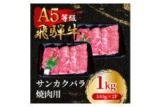 飛騨牛5等級 サンカクバラ焼肉用1kg(500g×2P)　FTA285【1578303】