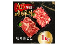 飛騨牛5等級 切り落とし1kg　FTA196【1578220】