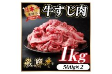 飛騨牛 牛すじ肉 約1kg(約500g×2) 訳あり＜冷蔵便＞A4～A5等級【1634498】