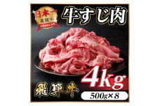 飛騨牛 牛すじ肉 約4kg(約500g×8) 訳あり＜冷蔵便＞A4～A5等級【1634586】