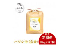 ＜発送月固定定期便＞＜先行予約＞岐阜県産ハツシモ(玄米)10kg全9回【4069203】