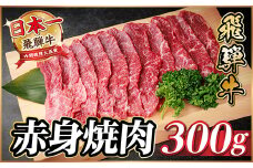 飛騨牛 赤身(焼肉・BBQ用) 約300g＜冷蔵便＞A4～A5等級 黒毛和牛【1646121】