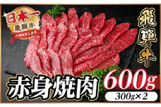 飛騨牛 赤身(焼肉・BBQ用) 約600g＜冷蔵便＞A4～A5等級 黒毛和牛【1646152】