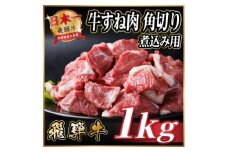 飛騨牛 厳選牛すね肉 角切り 1kg(500g×2)＜冷凍便＞A4～A5等級 煮込み用 訳あり小分け【1649910】