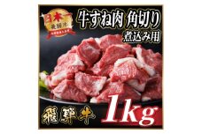 レビューキャンペーン実施中!飛騨牛 厳選牛すね肉 角切り 1kg(500g×2) A4～A5 訳あり【1649910】