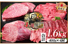 ＜毎月定期便＞飛騨牛 赤身定期便 計1.6kg 焼肉 BBQ すき焼き しゃぶしゃぶ ブロック全4回【4072648】