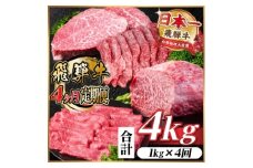 ＜毎月定期便＞飛騨牛 赤身定期便 計4kg 焼肉 BBQ すき焼き しゃぶしゃぶ ブロック全4回【4072655】