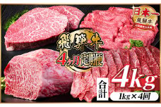 ＜毎月定期便＞飛騨牛 赤身定期便 計4kg 焼肉 BBQ すき焼き しゃぶしゃぶ ブロック全4回【4072655】
