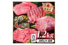 ＜毎月定期便＞飛騨牛 赤身定期便 計1.2kg 焼肉 BBQ すき焼き しゃぶしゃぶ ブロック全4回【4072753】