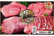 ＜毎月定期便＞飛騨牛 赤身定期便 計1.2kg 焼肉 BBQ すき焼き しゃぶしゃぶ ブロック全4回【4072753】