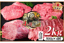 ＜毎月定期便＞飛騨牛 赤身定期便 計2kg 焼肉 BBQ すき焼き しゃぶしゃぶ ブロック全4回【4072758】